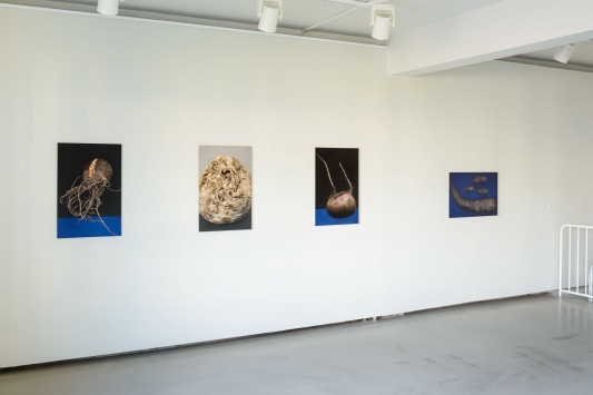 Galleria Pictor, Vihti, 2017