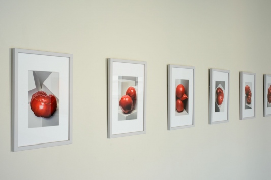Galleria Pictor, Vihti, 2017