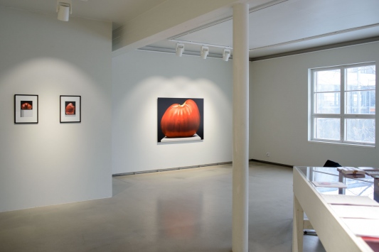 Galleria Pictor, Vihti, 2017