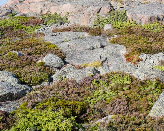 &amp;nbsp; Aspsk&amp;auml;r, Saltvik, Ahvenanmaa,&amp;nbsp;11.08.2022 Piste 078, kalliomaat 60.4646&amp;deg;N&amp;nbsp;&amp;nbsp;20.1239&amp;deg;E&amp;nbsp; 3&amp;nbsp;m