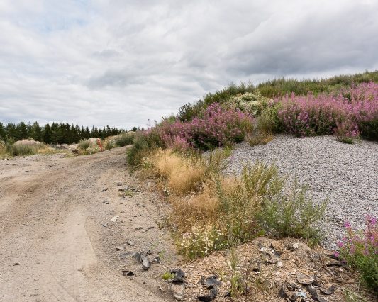 &amp;nbsp; Sammakkokankaan j&amp;auml;tekeskus, Sammakkokangas, Saarelankyl&amp;auml;, 23.07.2021 Piste 088, kaatopaikat 62.8073&amp;deg;N&amp;nbsp;&amp;nbsp;25.2697&amp;deg;E&amp;nbsp;&amp;nbsp;200 m